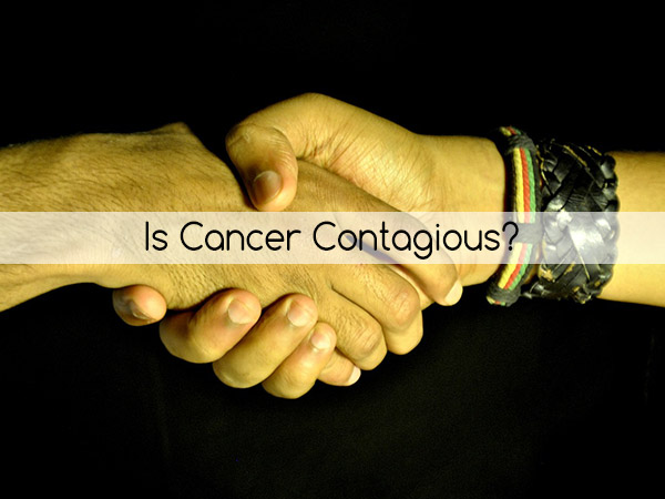 Is Cancer Contagious?